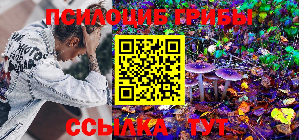 Галлюциногенные грибы Psilocybe Киров