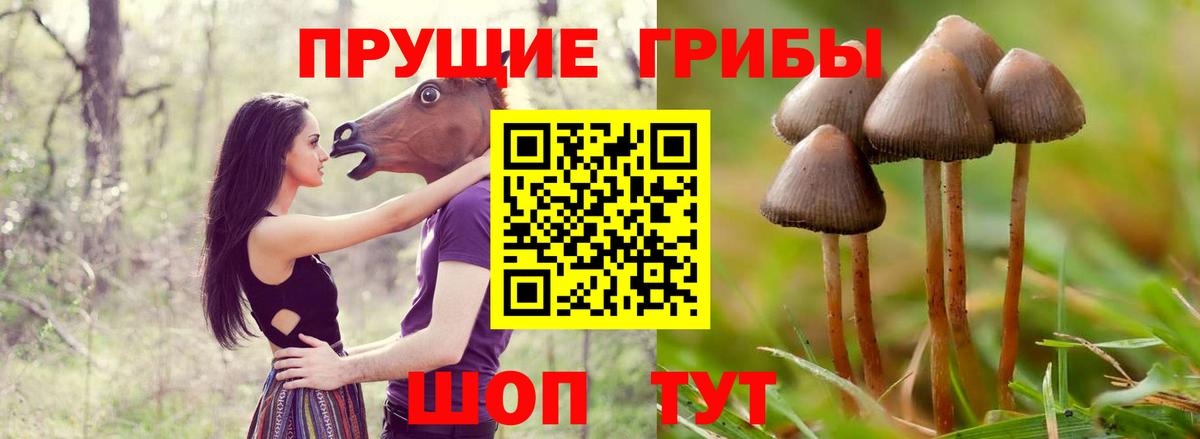 Псилоцибиновые грибы ЛСД  Вход с VPN  Киров  Галлюциногенные грибы MAGIC MUSHROOMS 